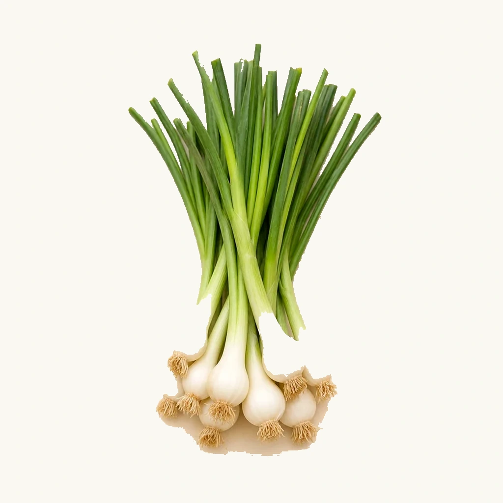 שום ירוק טרי