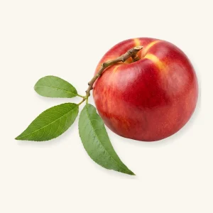 נקטרינה