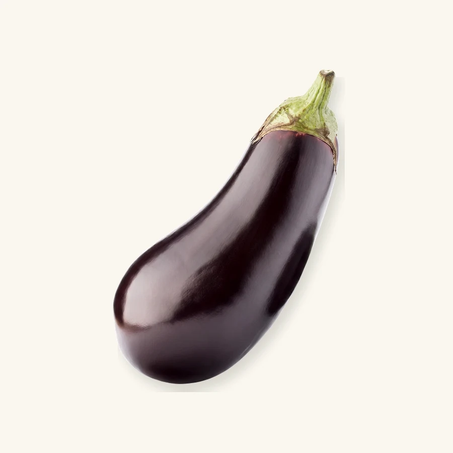 חציל חממה